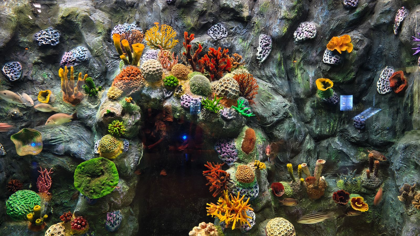 Grand Aquarium Hurghada