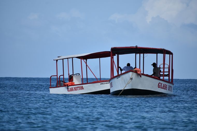 Royal Sea Scope Glass-Bottom Boat