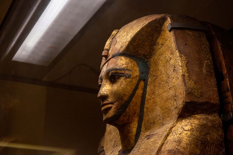 Side view of a gilded pharaoh's coffin lid in a softly lit museum case