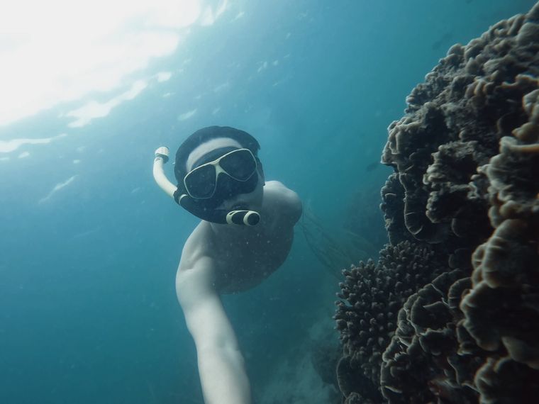 Red Sea Snorkeling — The Best Reefs