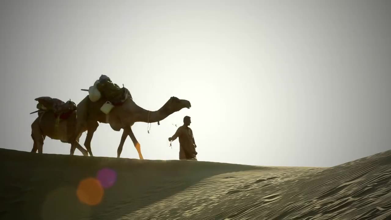 A man leading two loaded camels along the crest of a sand dune